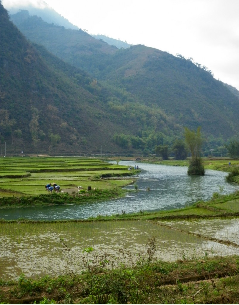 The Ma River running through the valley in Mai Chau in Northwest Vietnam.