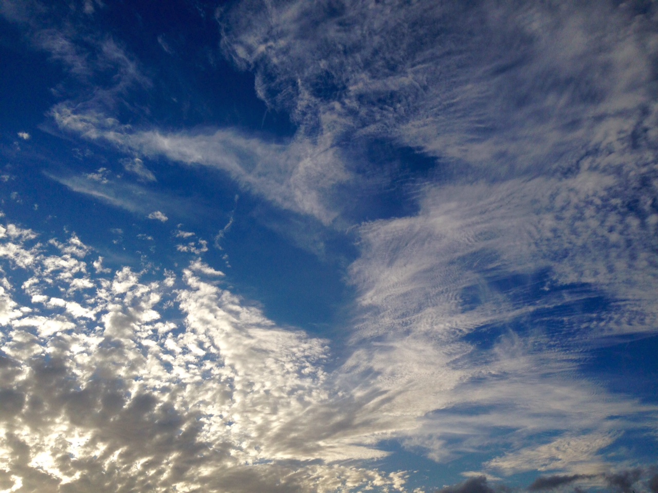 Wellington on the first day of Autumn